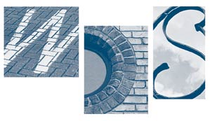 WDS logo